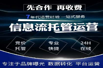 谷歌SEM广告投放的ROI优化：一家科技公司的成功经验